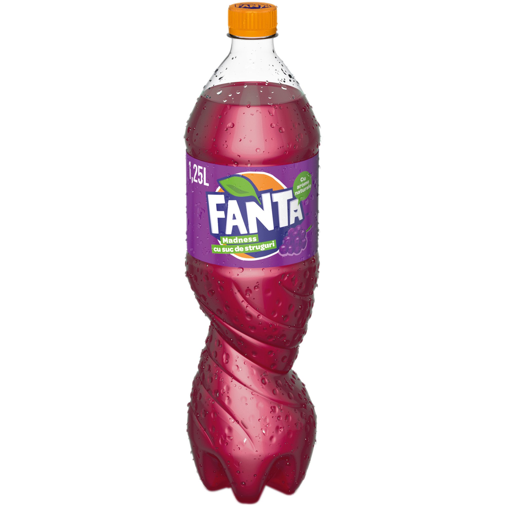 Fanta Raisin noir 0.5L